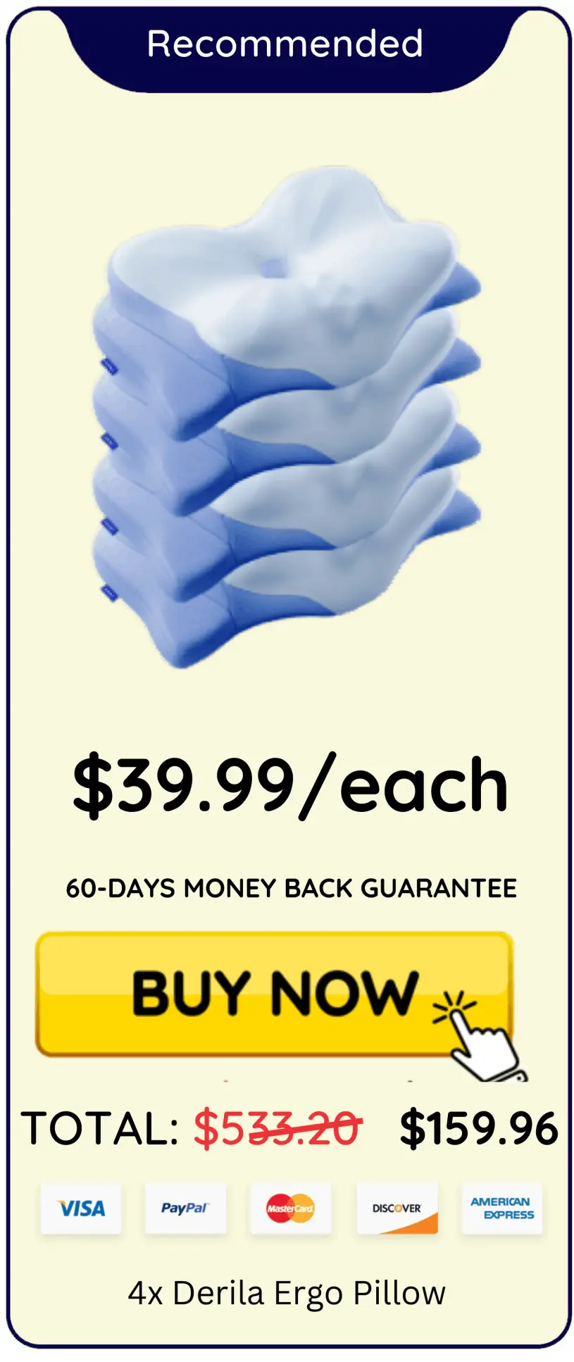 Derilaergopillow 6 bottles